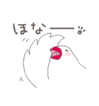 関西弁の白文鳥 2（個別スタンプ：40）