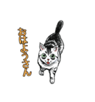 しろくろ猫ズ（関西弁）（個別スタンプ：1）