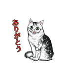 しろくろ猫ズ（関西弁）（個別スタンプ：2）