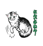 しろくろ猫ズ（関西弁）（個別スタンプ：8）