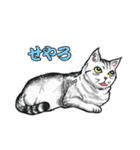 しろくろ猫ズ（関西弁）（個別スタンプ：14）