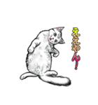 しろくろ猫ズ（関西弁）（個別スタンプ：16）