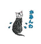 しろくろ猫ズ（関西弁）（個別スタンプ：26）