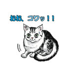 しろくろ猫ズ（関西弁）（個別スタンプ：27）