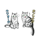 しろくろ猫ズ（関西弁）（個別スタンプ：32）