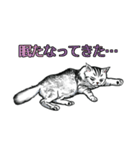 しろくろ猫ズ（関西弁）（個別スタンプ：39）