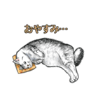 しろくろ猫ズ（関西弁）（個別スタンプ：40）