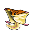 モモンガのもっち（個別スタンプ：36）