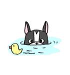 Bossa the mood swings dog（個別スタンプ：2）