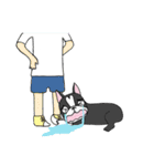 Bossa the mood swings dog（個別スタンプ：14）