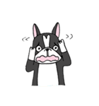 Bossa the mood swings dog（個別スタンプ：18）