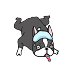 Bossa the mood swings dog（個別スタンプ：19）