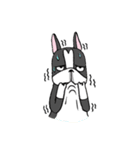 Bossa the mood swings dog（個別スタンプ：26）