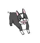 Bossa the mood swings dog（個別スタンプ：34）