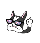 Bossa the mood swings dog（個別スタンプ：36）