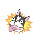 Bossa the mood swings dog（個別スタンプ：39）