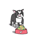 Bossa the mood swings dog（個別スタンプ：40）