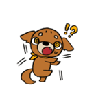 げんきなチワワスタンプ（個別スタンプ：11）