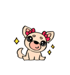 げんきなチワワスタンプ（個別スタンプ：12）