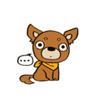 げんきなチワワスタンプ（個別スタンプ：16）