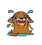 げんきなチワワスタンプ（個別スタンプ：20）