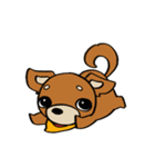 げんきなチワワスタンプ（個別スタンプ：32）