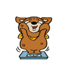 げんきなチワワスタンプ（個別スタンプ：33）