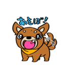 げんきなチワワスタンプ（個別スタンプ：39）