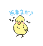カナリアのマリア（個別スタンプ：11）