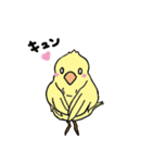 カナリアのマリア（個別スタンプ：35）