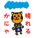 彦左衛門とトラ吉（個別スタンプ：3）