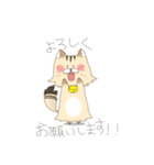 こたろーくん（個別スタンプ：6）