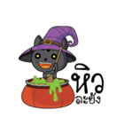 Catdy Witch Cat（個別スタンプ：2）