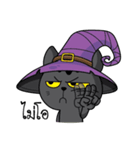 Catdy Witch Cat（個別スタンプ：10）