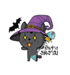 Catdy Witch Cat（個別スタンプ：16）