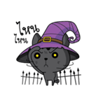 Catdy Witch Cat（個別スタンプ：37）