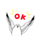カモメのスタンプ（個別スタンプ：1）