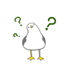 カモメのスタンプ（個別スタンプ：10）