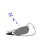 カモメのスタンプ（個別スタンプ：14）
