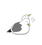 カモメのスタンプ（個別スタンプ：15）
