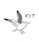 カモメのスタンプ（個別スタンプ：34）