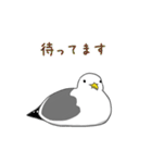 カモメのスタンプ（個別スタンプ：35）