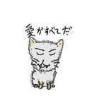 40 cats（個別スタンプ：1）