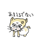40 cats（個別スタンプ：4）