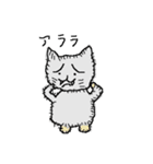 40 cats（個別スタンプ：5）
