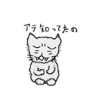 40 cats（個別スタンプ：6）