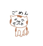 40 cats（個別スタンプ：28）