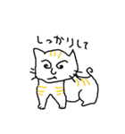 40 cats（個別スタンプ：31）