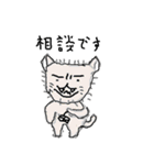 40 cats（個別スタンプ：39）