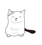 白黒ネコ（個別スタンプ：3）